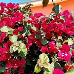 La Perla Di Villa